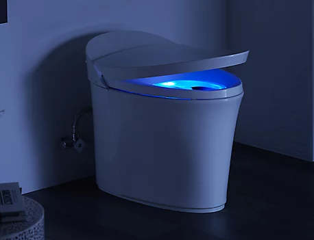 Intelligent Toilet